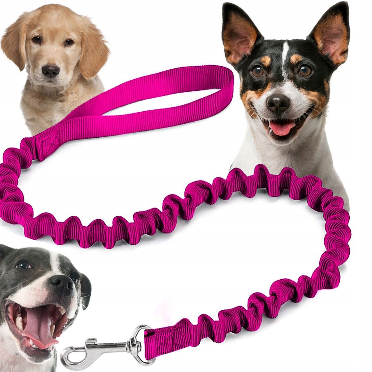 Verstelbare Hondensnoer met Schokdemper voor Trekkende Honden - 1m