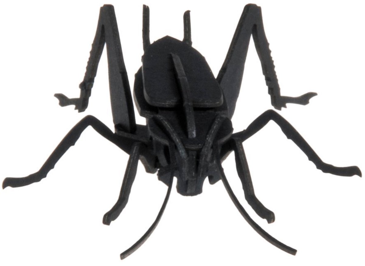 FRIDOLIN 3D Papier Model - Krekel.