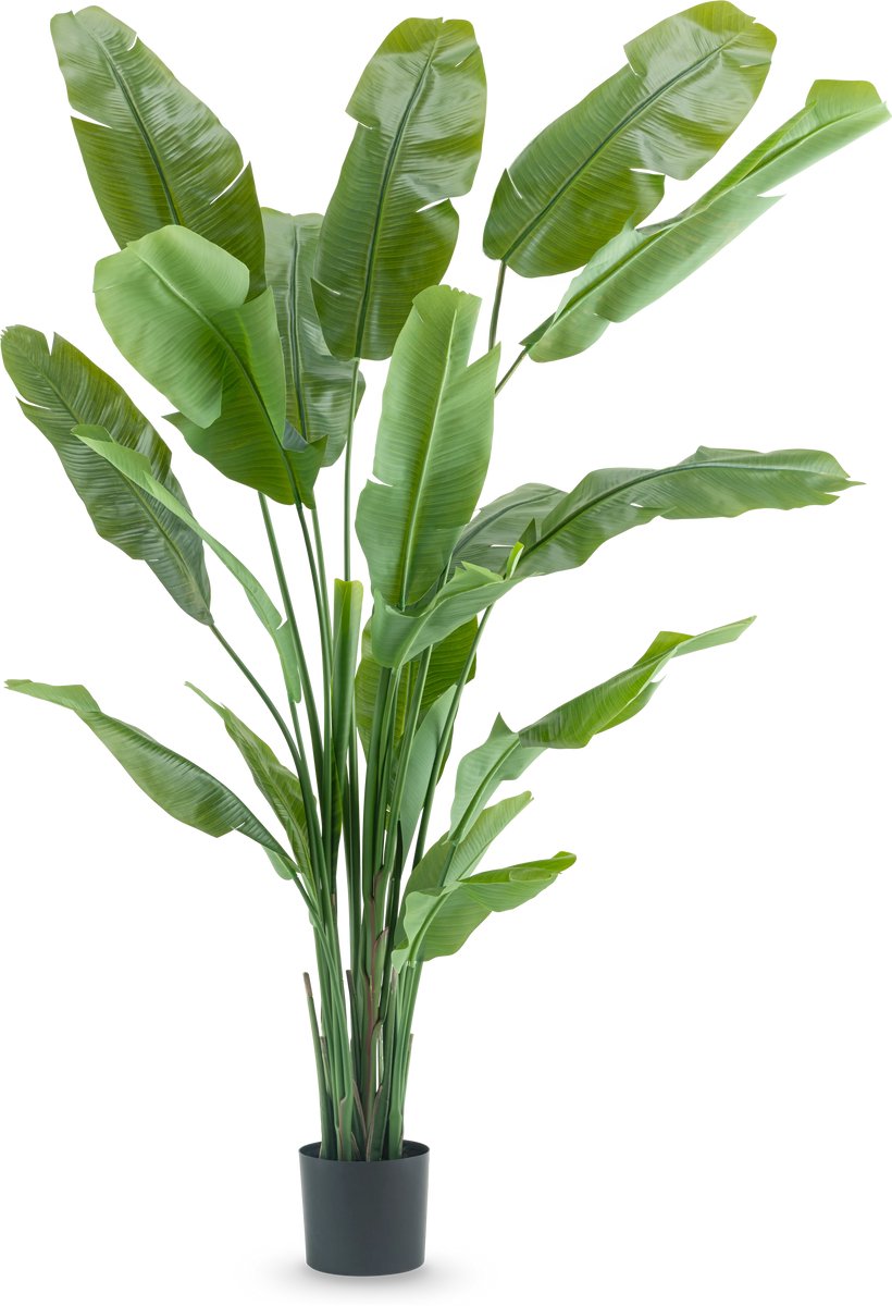 Easyplants | Kunstplant Strelitzia Nicolai Deluxe 210 cm | Zijde | Strelitzia | Groen