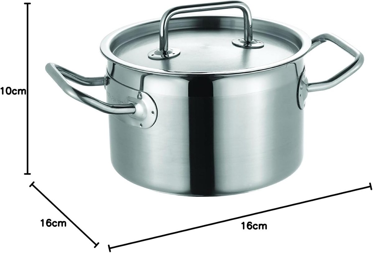Braadpan met Deksel 20 cm, Roestvrij Staal, Ovenvast, Geschikt voor Inductie