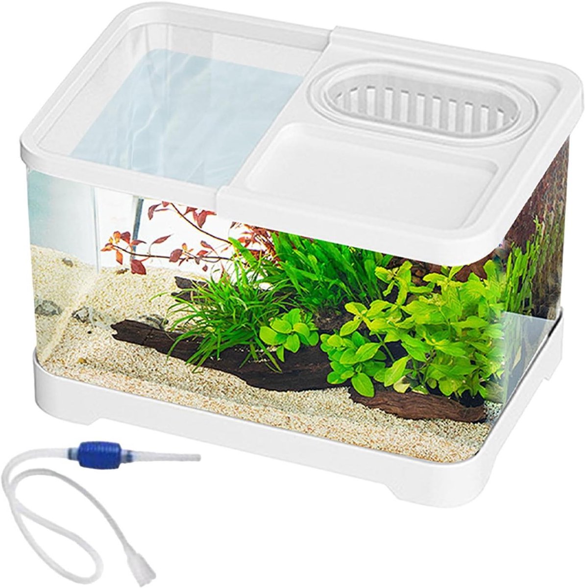 Aquarium Complete Set - Kleine Visbak