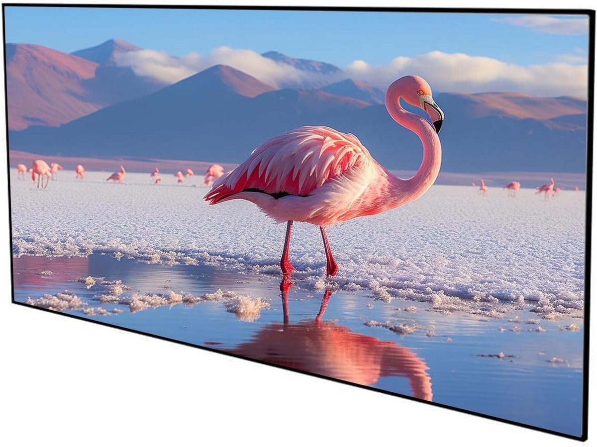 Projectiescherm Vast Frame - Projectiescherm Muurbevestiging - Thuisbioscoop Creëren - Vlakke Beeldweergave - 72 inch - Wit