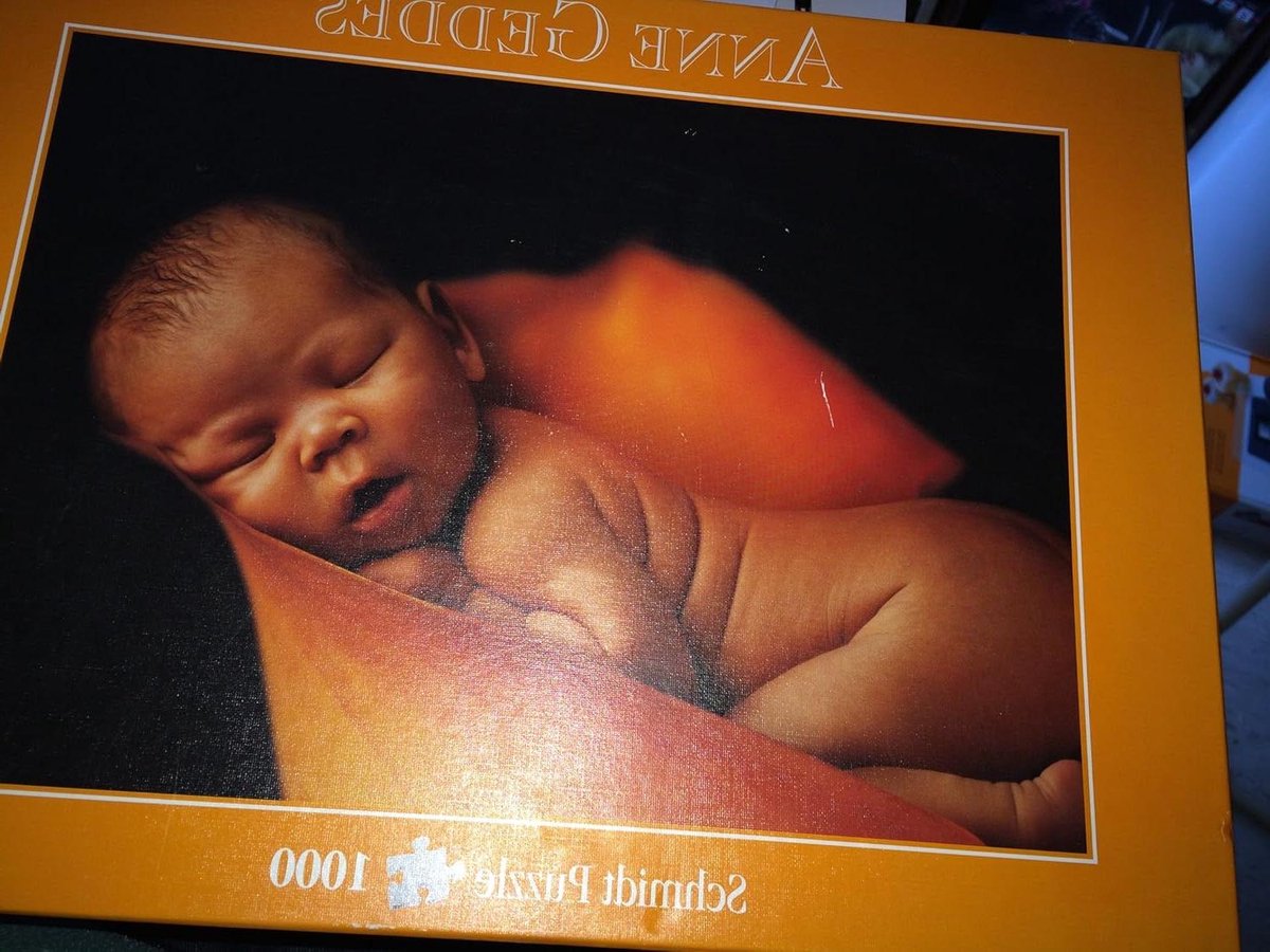 Anne Geddes Puzzel - Fotokunst Puzzel - Ontspannen Puzzelen - Gedetailleerd Fotokunst Motief - 1000 Stukjes - Niet gespecificeerd