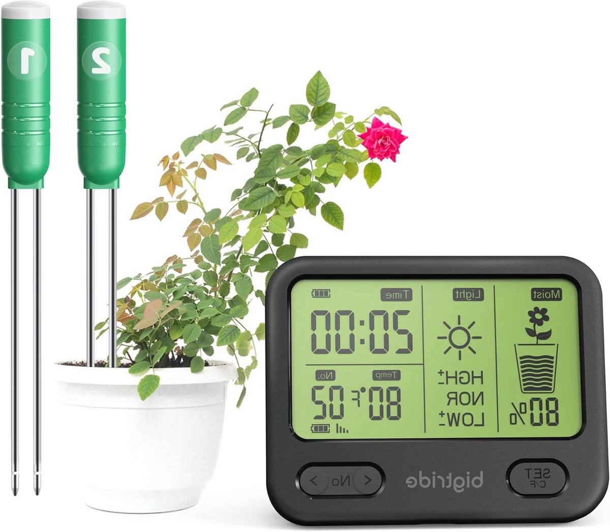 Bodemvochtigheidssensoren - Vochtmeters - Planten Verzorgen - Roestvrijstalen Sonde - 2 stuks - Groen