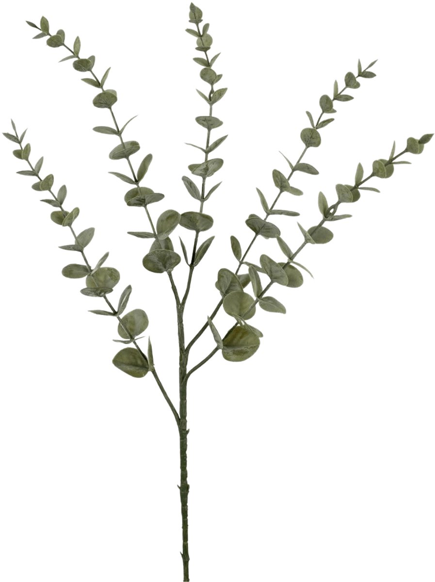 Easyplants | Kunstbloem Eucalyptus Yugali 71 cm | Zijde | Nepbloemen | groen | Onderhoudsvrij | Kant-en-klaar