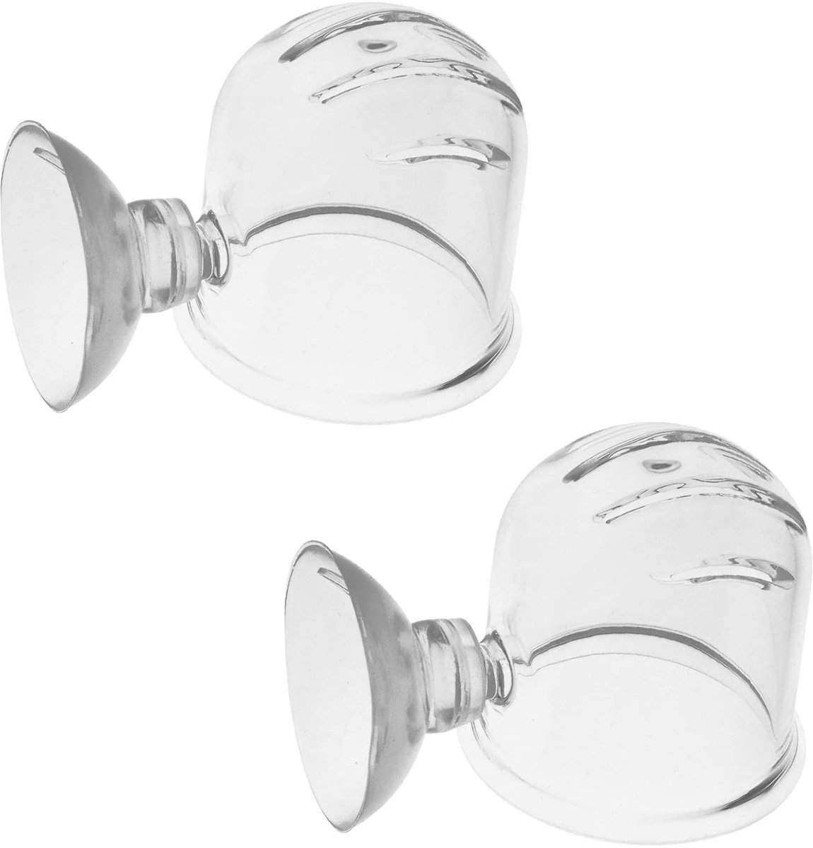 Livia home - Kleine Aquarium Kegel - Worm Feeder - Duurzaam glas - Transparant - Voeding Cup - Geschikt voor garnalen en vissen - 2 stuks