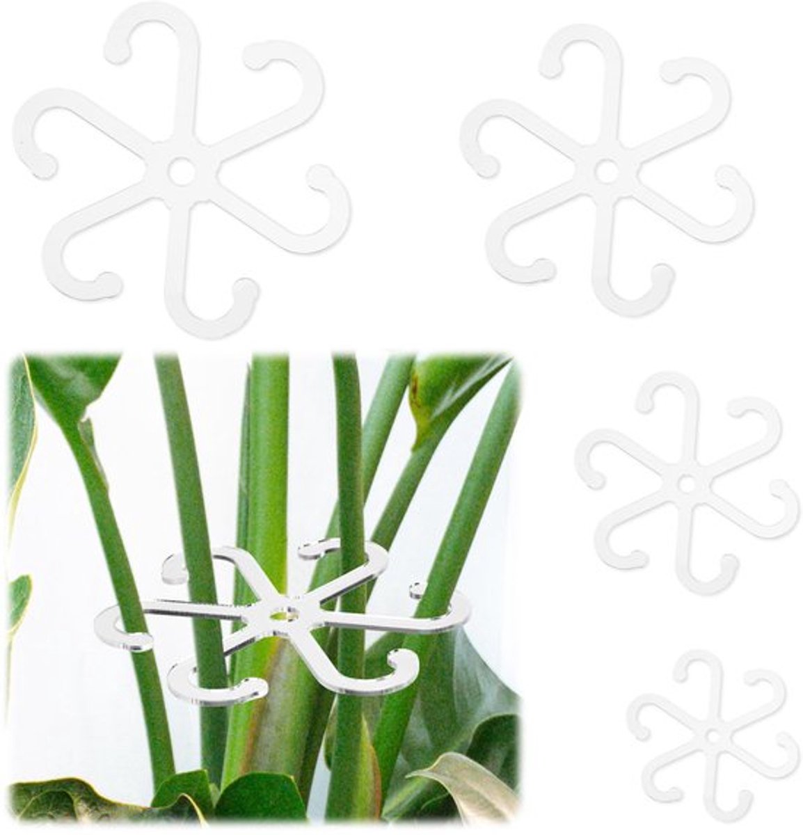 4Pcs Plant Stem Support - Transparante Acryl Stabilizers - 4 Verschillende Maten