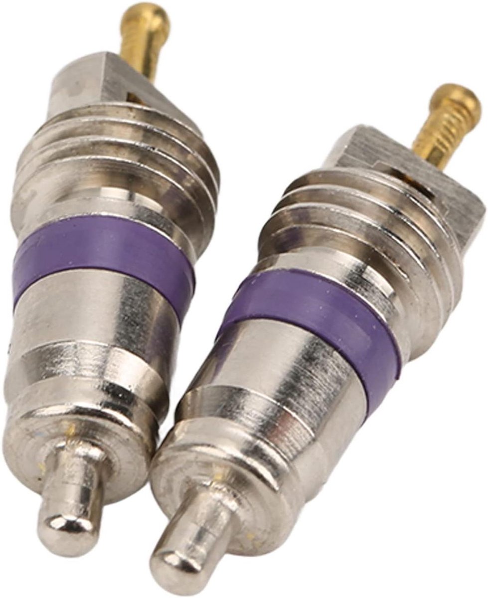 Ventiel Kernen - Auto Onderdelen - Airco Reparatie - Aluminium Koper - 20 Stuks - Zilver
