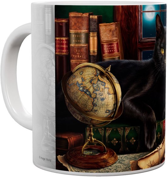 Zwarte kat met gele ogen ligt op boeken bij een globe, met boekenkast en maanlicht.