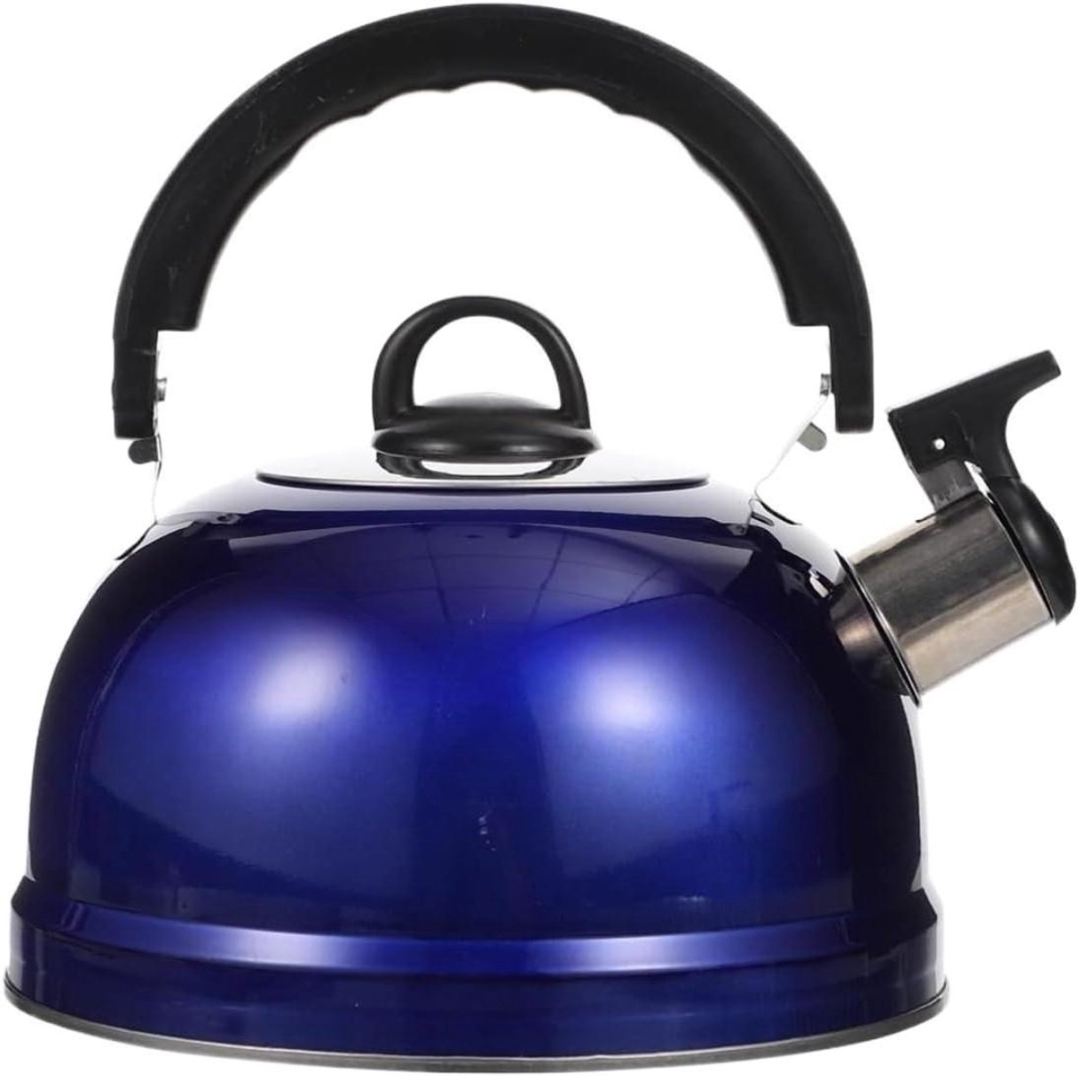 Theeketel Roestvrijstaal - Fluitketel Kookplaat - Water Koken - Koel Handvat - 187 cm - Blauw