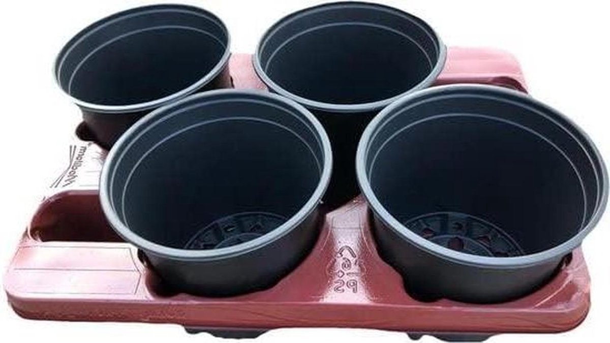 Kweektrays met potten - Zaaitrays Plantenbakken - Planten Kweken - Drainagegaten - 15 cm - Zwart