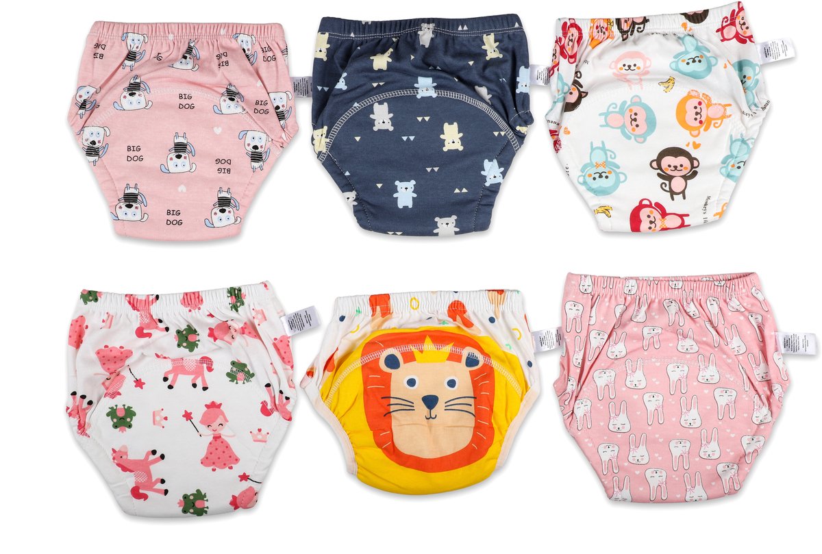 Bummy - Zindelijkheidsbroekjes - Oefenbroekjes zindelijkheid - 6 Stuks - Maat L (14,5-17kg) - Trainingsbroekjes - Wasbaar & Waterdicht - Zacht Premium Katoen - REACH-getest