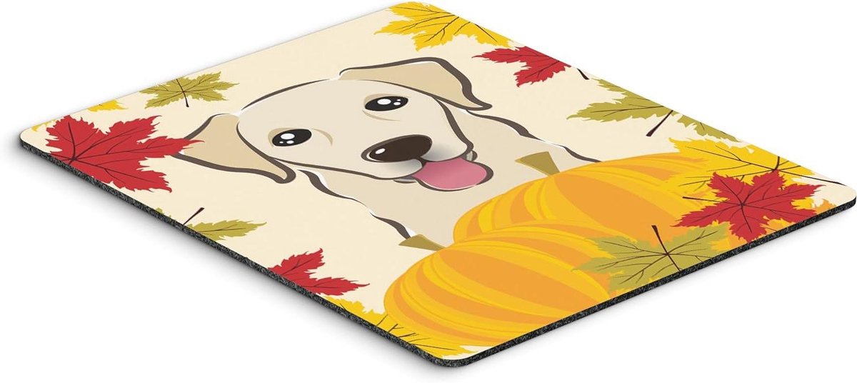 Muismat - Onderzetter Hot Pad - Bureau Organisatie - Hittebestendig - 23.5 x 19.7 cm - Multicolor