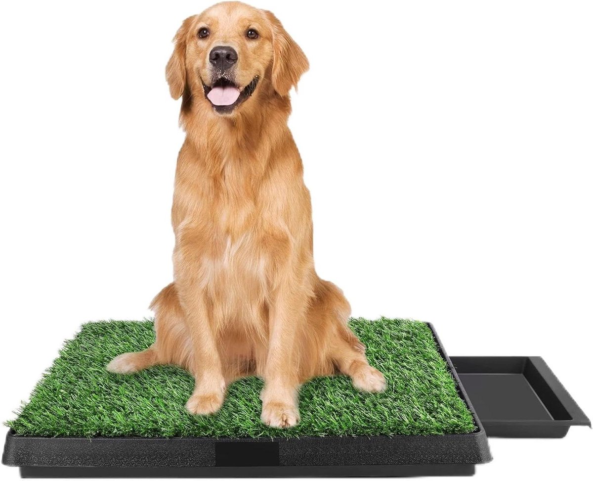 Honden Toilet - Hondenplasbak Plasmat - Huisdier Zindelijk Maken - Drie-Staps Structuur - 63 x 50 cm - Groen