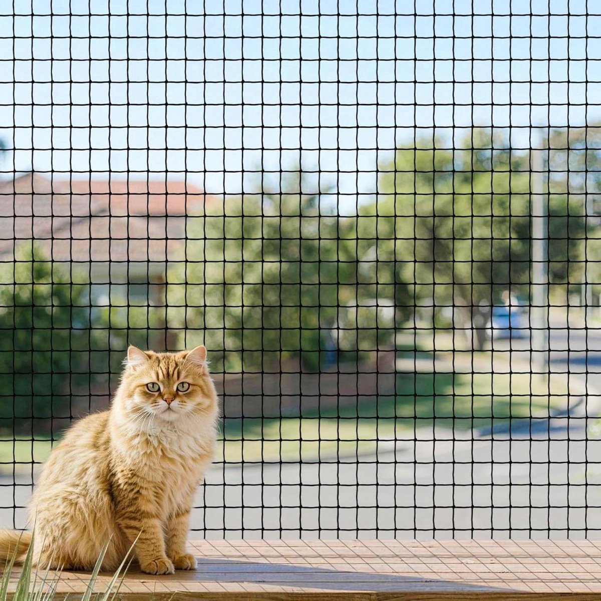 Kattennet Balkon - Kattenbescherming Terras - Veilig Buiten - Draadversterkt Materiaal - 6x3 Meter - Zwart