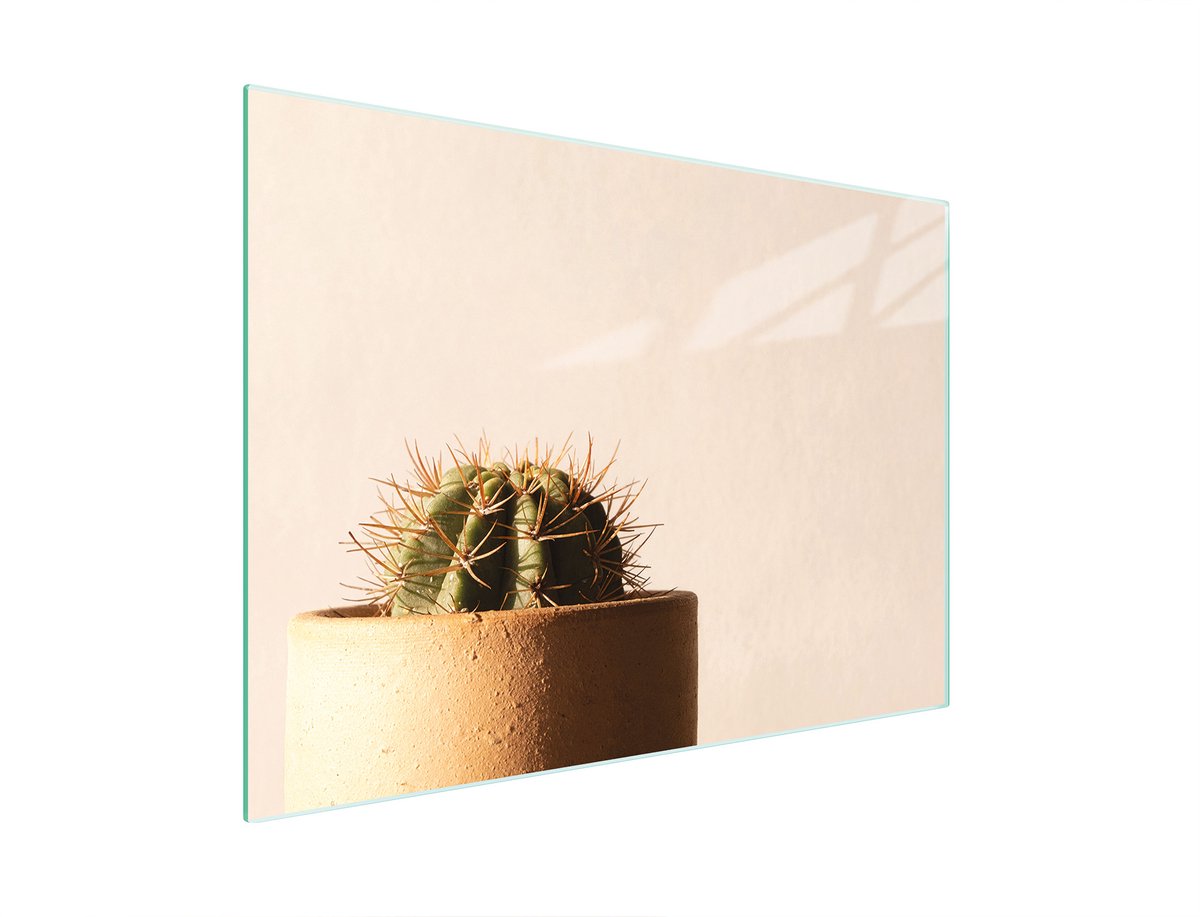TMK ArtDeko Serie - Glazen Snijplank - 30x22 cm - Cactus Design - Antislip