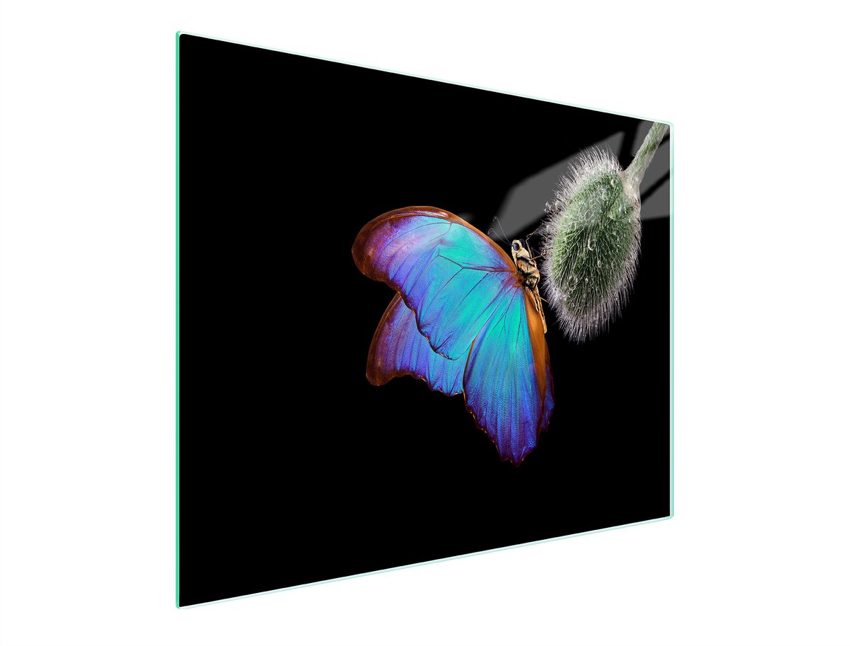 TMK ArtDeko Serie - Snijplank van Glas - 52x30 cm - Motief - Beschermend en Functioneel
