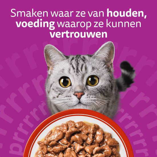 Grijze kat kijkt naar een bord vol kattenvoer met stukjes vlees in jus.