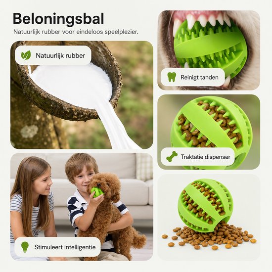 Groene rubberen balletje gevuld met voer, melk uit kokosnoot, kinderen spelen met hond en balletje.
