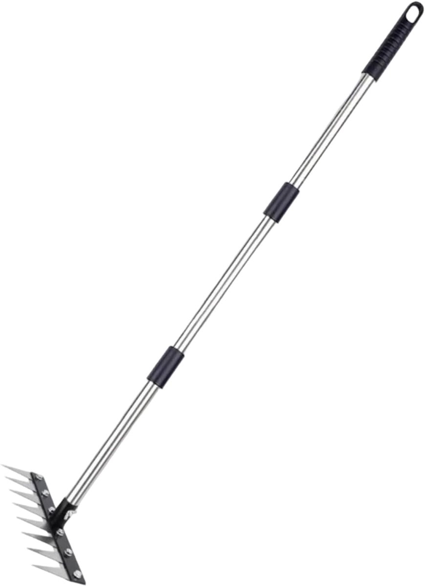 Verticuteerhark - Onkruidsteker Bodemgereedschap - Gazononderhoud Tuinieren - 8 Tanden Roestvrij Staal - 26.9x9.5cm Kop