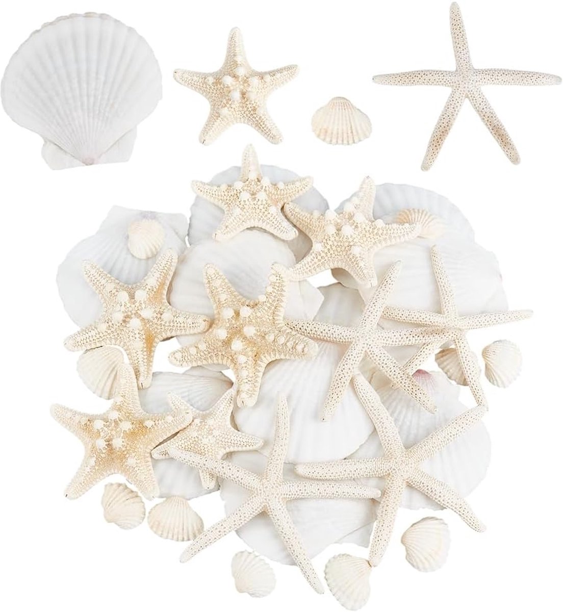 Zeester Zand Decoratiesets - Kust Decoratie - Feest Decoratie - Natuurlijke Schelpen - 30 Stuks - Gemengde Kleuren