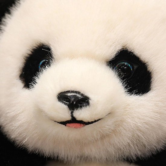 The Cheeky Panda Bamboo Diapers Newborn Size 1 | 48 Eco-Friendly Diapers | Super Absorbent Hypoallergenic Baby Diapers (2-5kg