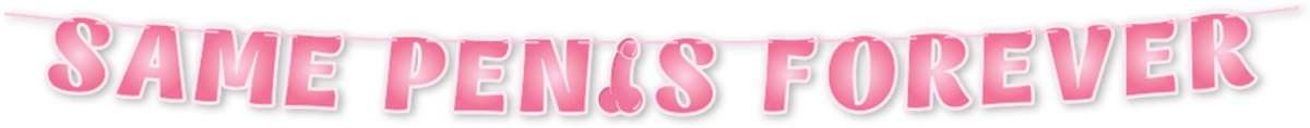 Q2P - Slingers - Bride to Be - Vrijgezellenfeest Vrouw - Versiering - Penis - Decoratie - Vlaggenlijn - Piemel
