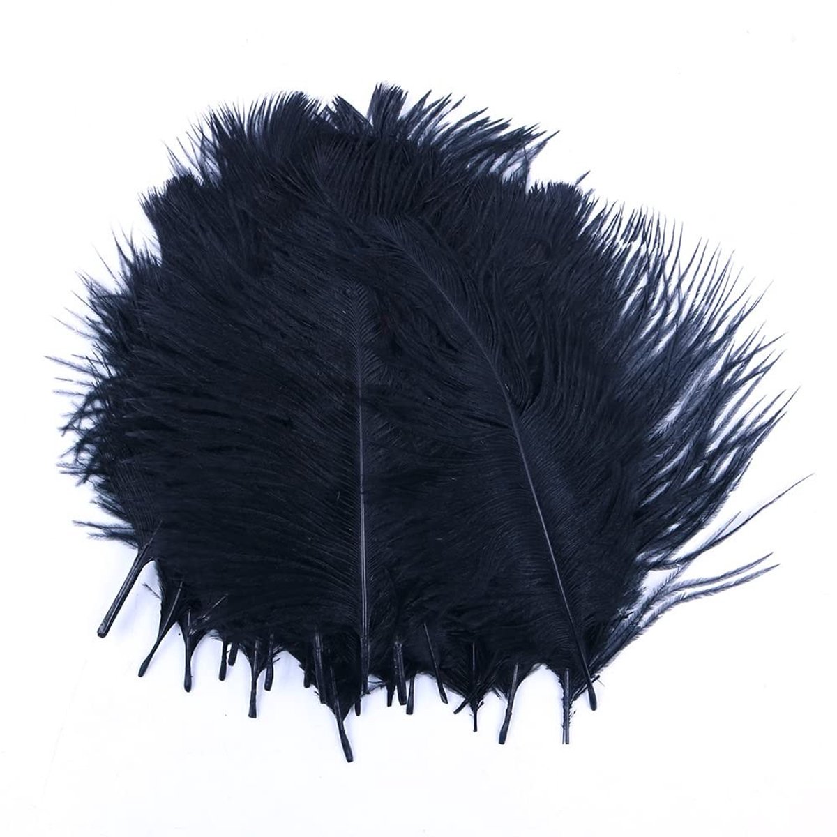 Dailygoods- Struisvogelveren 20 stuks - Natuurlijke veren - Tafeldecoratie - Luxe uitstraling - Veilig en gedesinfecteerd - 15 cm/20 cm - Decoratieveren