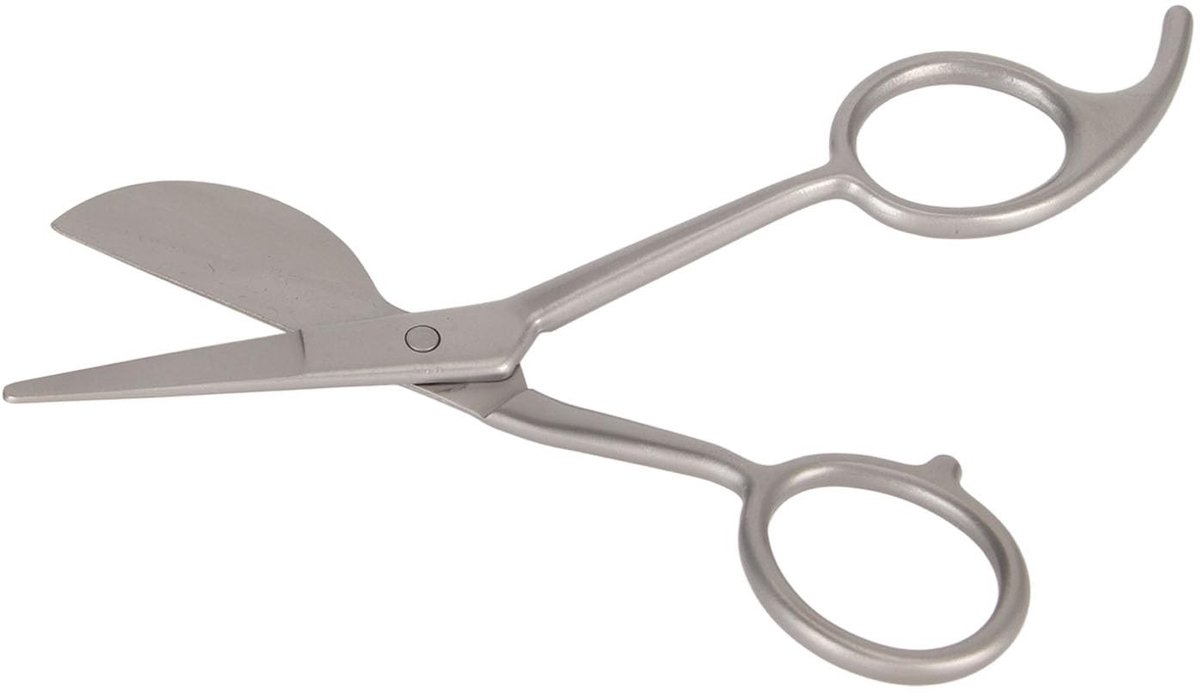 Dailygoods- Applicatieschaar Eendenbekmes - Ergonomisch Handvat - Roestvrij Staal - Comfortabel Gebruik - Tapijt Schaar - Nauwkeurig Knippen - Tapijtschaar