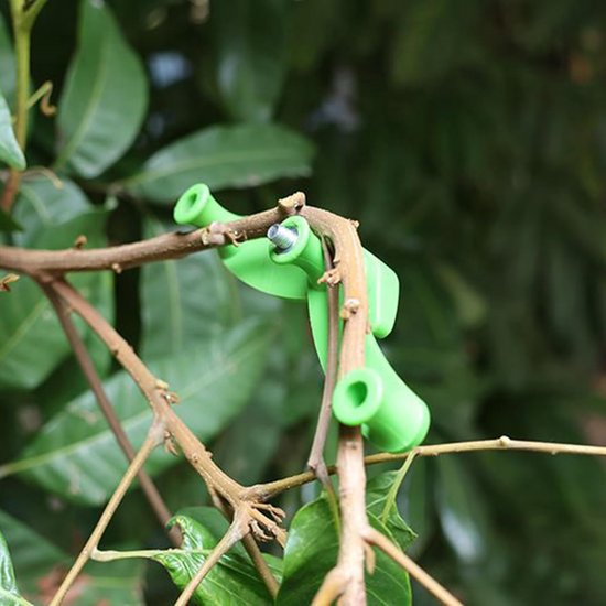 Fruitboom Takspreiders - Buiggereedschap Planten - Takken Vormgeven - 5 Verstelbare Buigmachines - 15 x 10 x 6 cm - Groen — afbeelding 2
