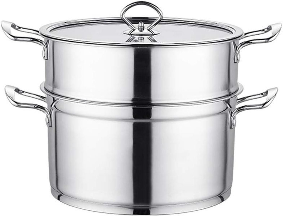 Stoompan Set - Stoomkoker Pan - Gezond Koken - Roestvrij Staal - 31x26cm - Zilver