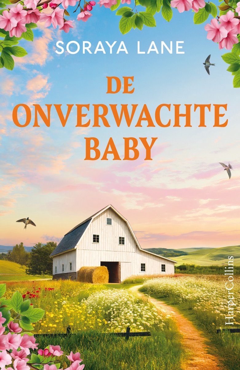 Omslag van De onverwachte baby
