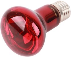 Reptielen Warmtelamp - Terrarium Verwarming - Reptielen Welzijn - Ingebouwde Reflector - 60W - Rood