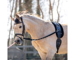 Horsegear Bijzetteugels Horsegear Hgelastic Zwart