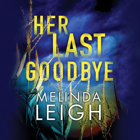 Her Last Goodbye - cover