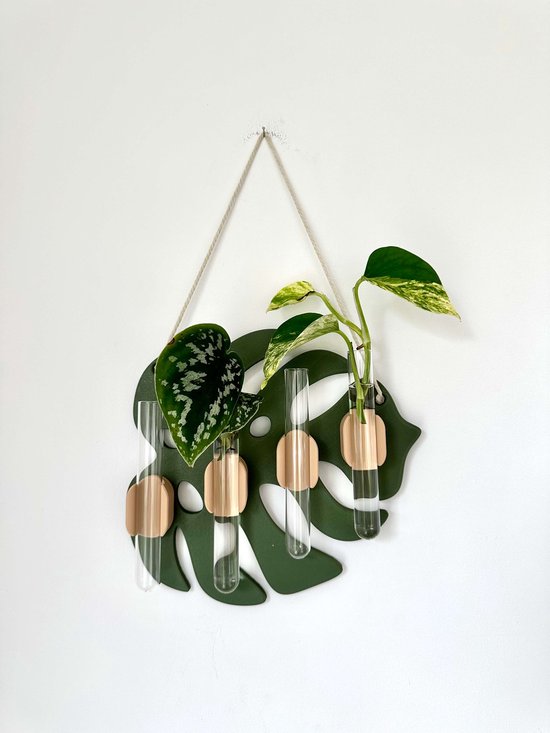 MONA Wandstekhouder stekjes station voor aan de muur – 3D Geprint Stekstation van Bio-Based PLA | Magnetisch | Stek Vaasjes & Reageerbuisjes | Monstera Design