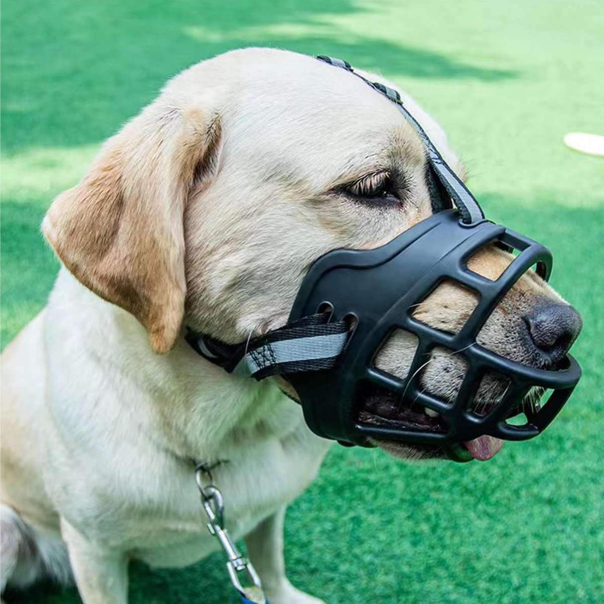 Hondenmuilkorf voor middelgrote honden, verstelbaar en ademend, veilig en comfortabel met reflecterende strepen en anti-vuil eigenschappen