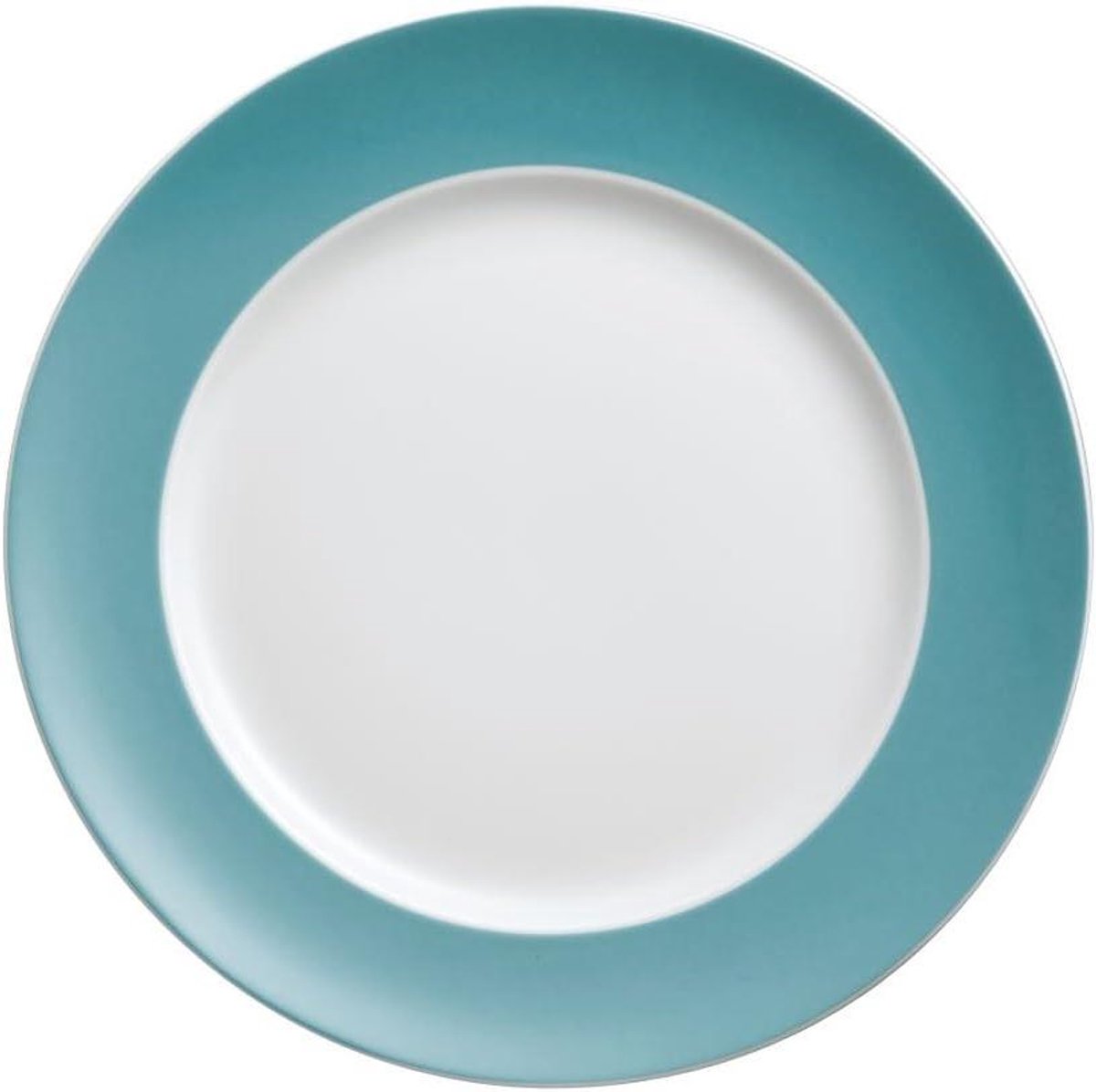 Diner bord - Grillplaat bord - Eten serveren - Vaatwasserbestendig - Ø 27 cm - Turquoise