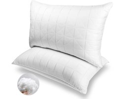 Kussens Set - Slaapkussen - Comfortabel Slapen - Driehoek Steun - Queen 50x76 cm - Wit