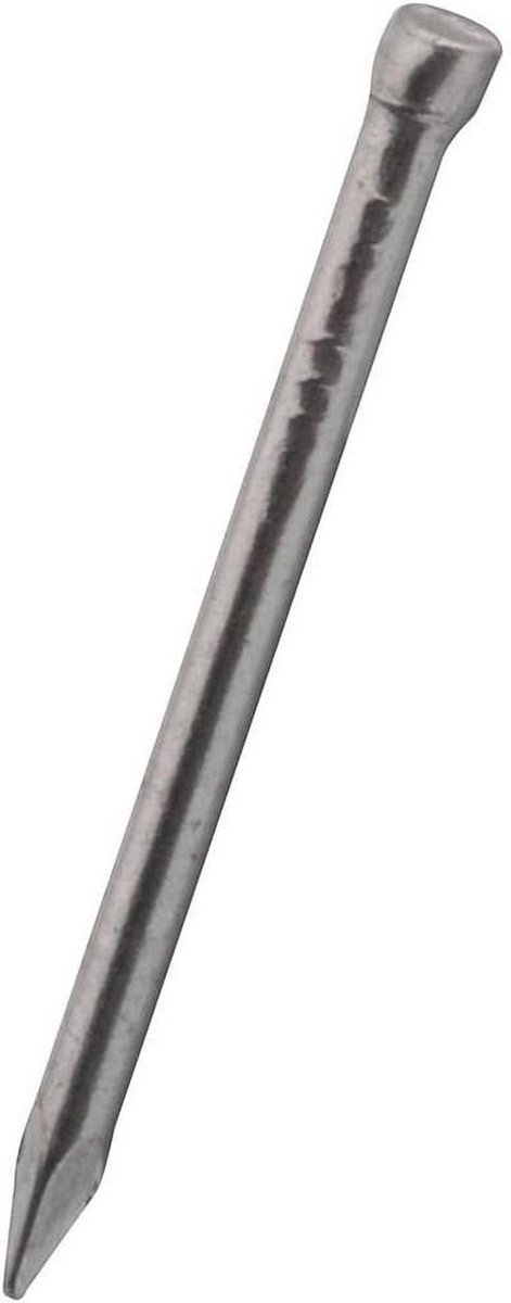Draadnagels - Kleine spijkers - Klusjes in huis - Kleine kop - 7/8" x 17 Ga - Helder