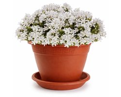 Plasticforte plantenpot met opvang schaal - terracotta - rond - D30 x H23 cm - kunststof - buiten - tuin - bloempot