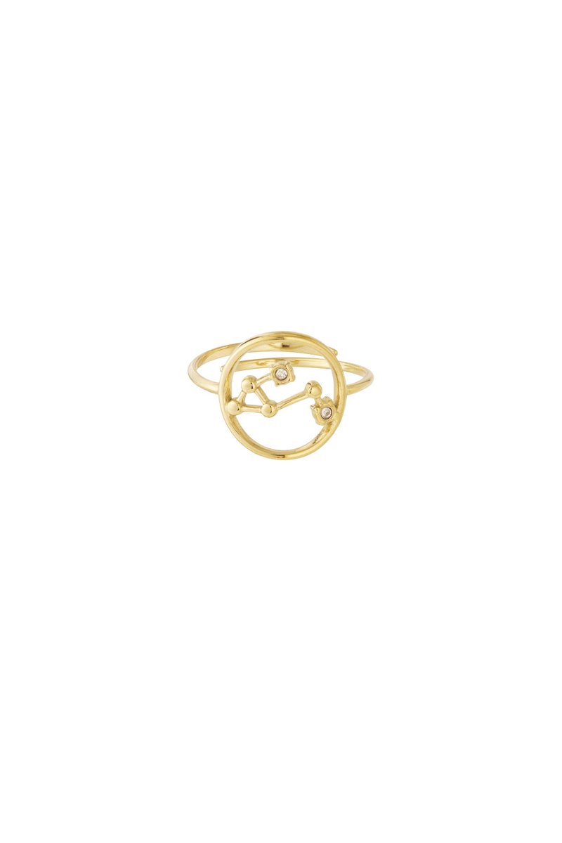 12 zodiac-ringen - Goudkleur