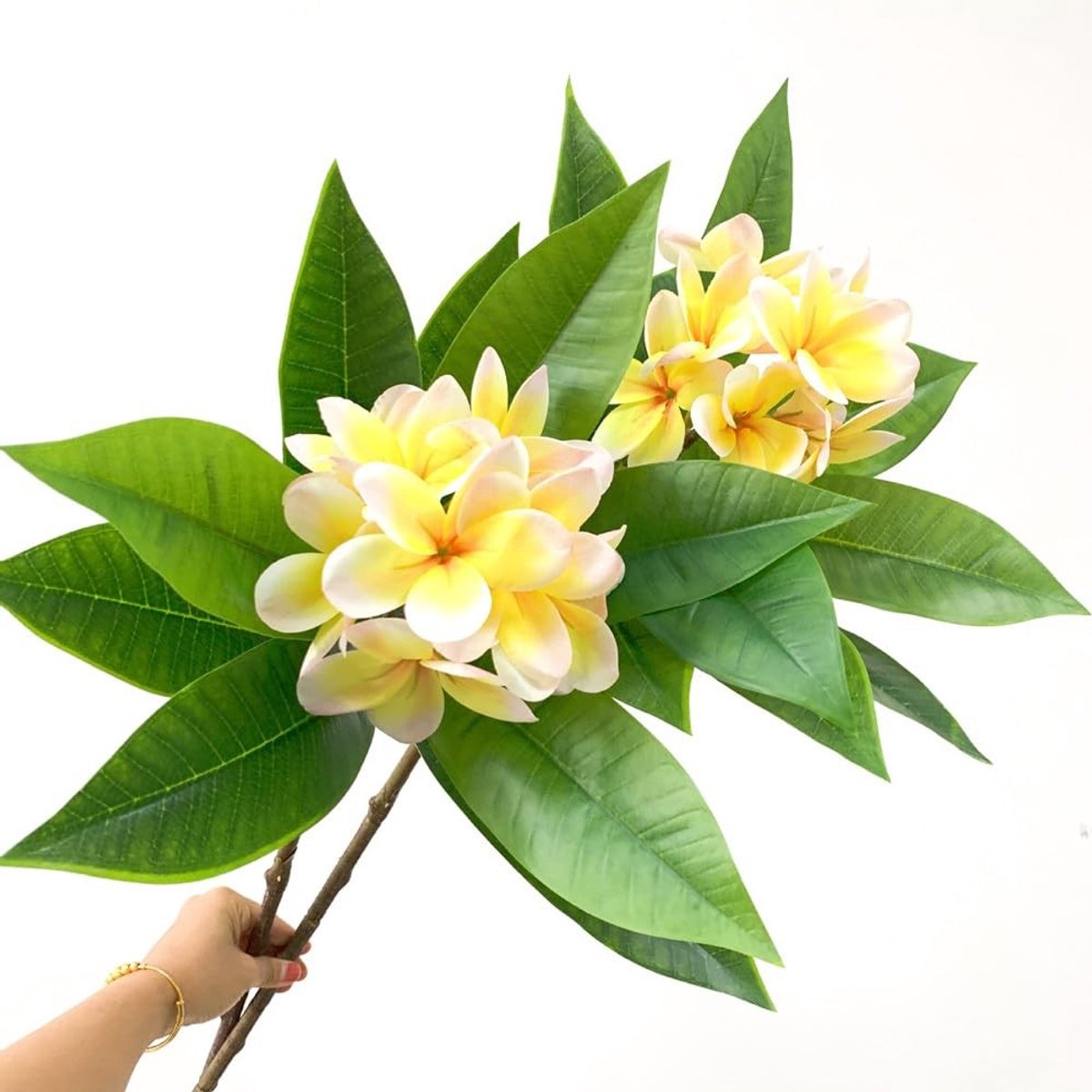 Cosensi - Kunstbloemen - Plumeria - Levensgetrouwe uitstraling - Geel - Decoratie - Geschikt voor binnen en buiten - 90cm