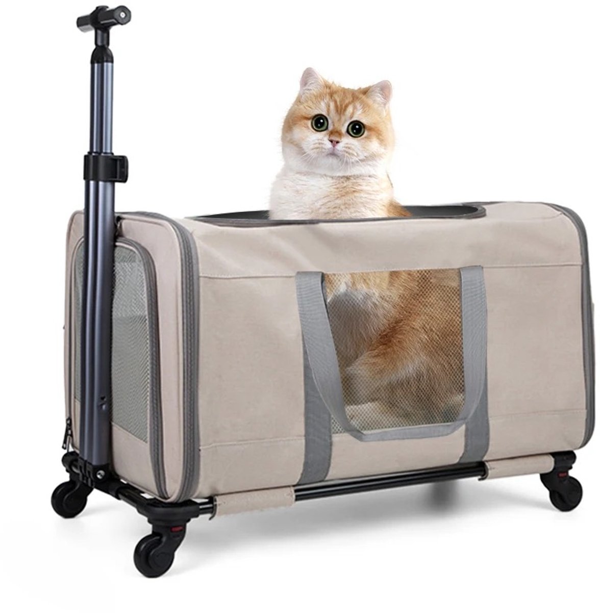 Stervia Reismand - Huisdieren - Kleine Honden - Katten - Met Wielen - Met Luchtgaas - Zachte Bekleding - Creme - 60 x 40 x 35 cm