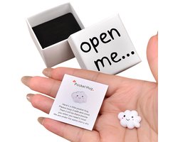 Luxe Pocket Hug Witte Wok met Gezichtje in Cadeau doosje - Inclusief Betekenisvolle Wenskaart - Schattig Handgemaakt Wolkje - Cadeau voor Vriend, Vriendin, Partner of Familie - Klein Gebaar bij Afstand, Liefde of Steun - Troost cadeau