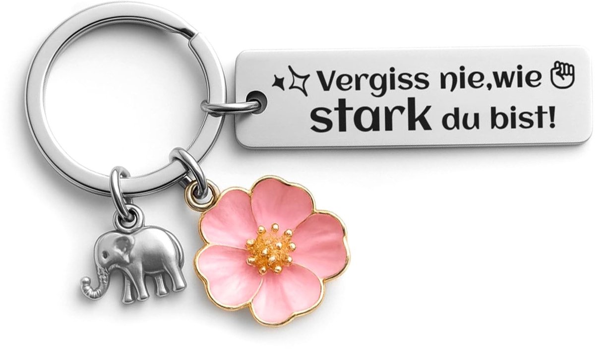 Dailygoods - Roestvrijstalen Sleutelhanger als Geluksbrenger