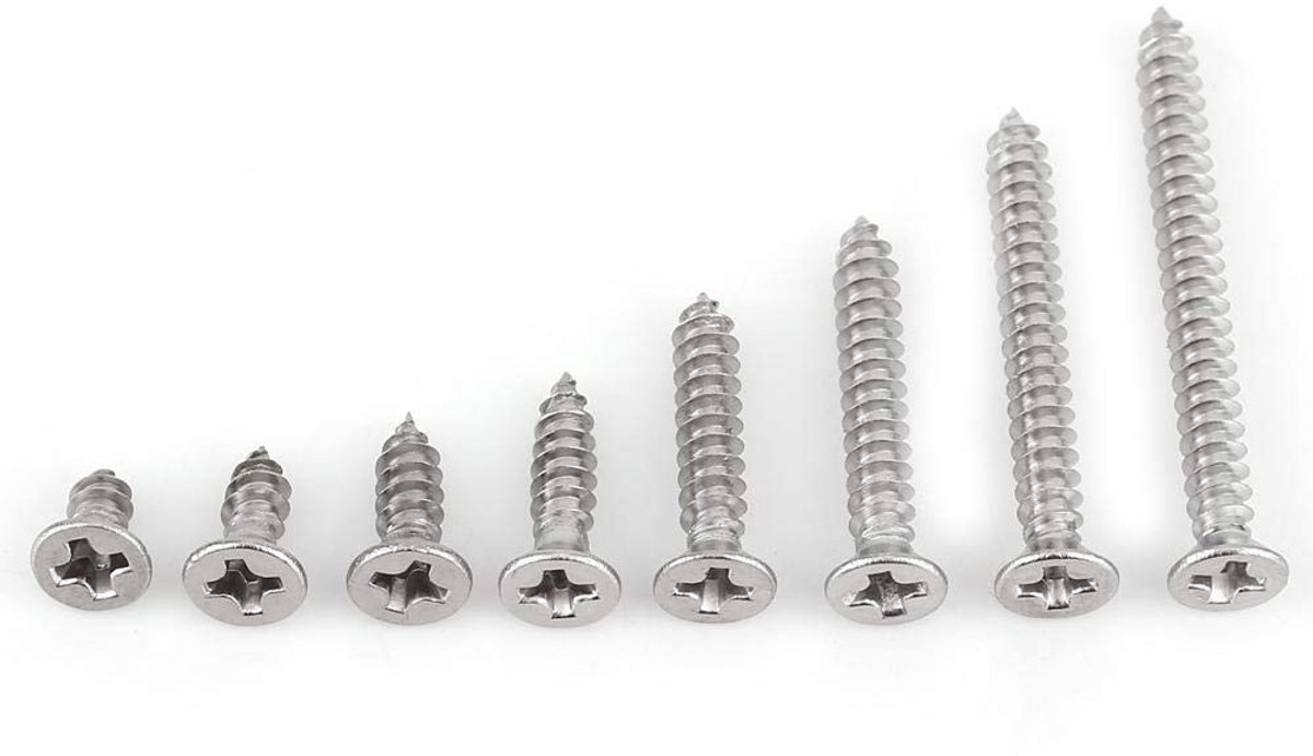 Dailygoods- Houtschroeven 200 Stuks - RVS Platkop/Phillips - Zelftappende Schroeven - Corrosiebestendig - Voor Binnen/Buiten - Sterk 304 Roestvrij Staal