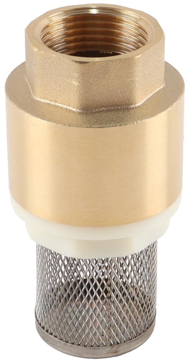 Dailygoods- Terugslagklep Messing - Roestvrijstalen Filter - BSP Binnendraad - Pijpaansluiting - Wateraanzuiging - Totale Afmetingen 40 x 81 mm - Waterklep
