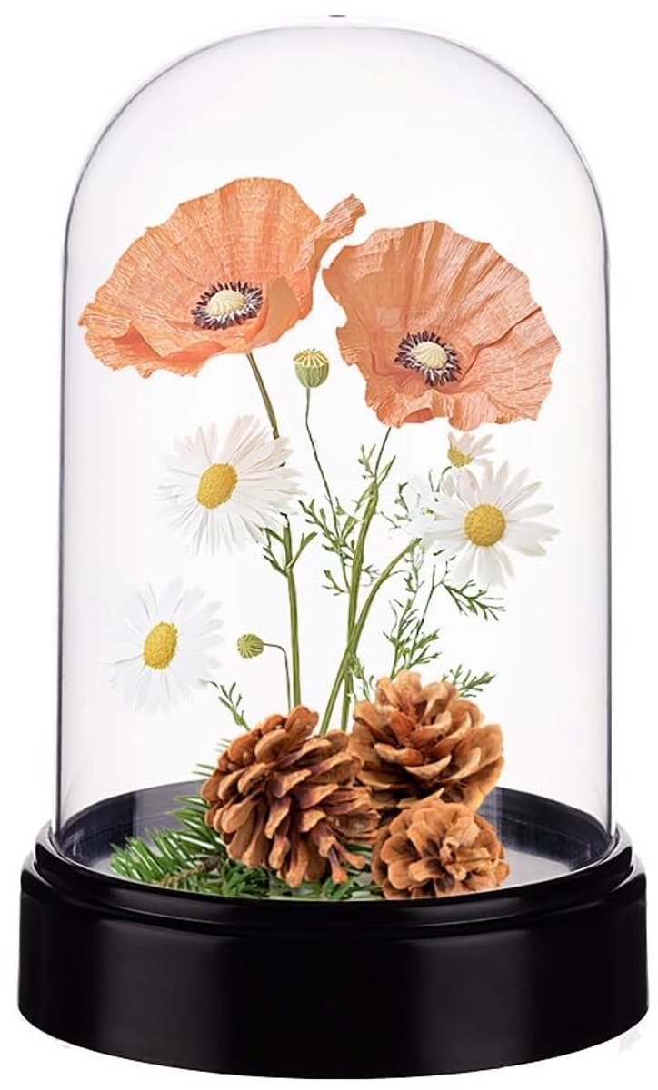 Dailygoods- Display Case Acryl Koepel 9,3 x 13,5 cm - Cloche Globe - Zwarte Basis - Terrarium - Tafelblad Decoratie - Elegant Ontwerp