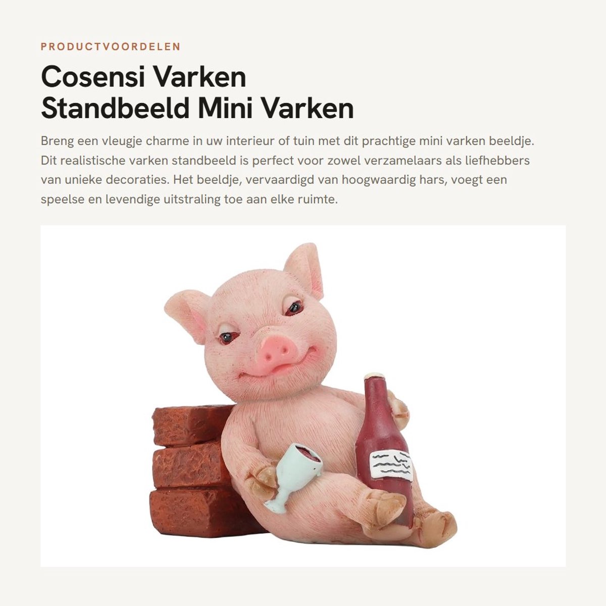 Dailygoods- Varken Beeldje Miniatuur - Realistisch Standbeeld - Decoratie voor Thuis - Hars - Tuinfeest - Micro Landschap